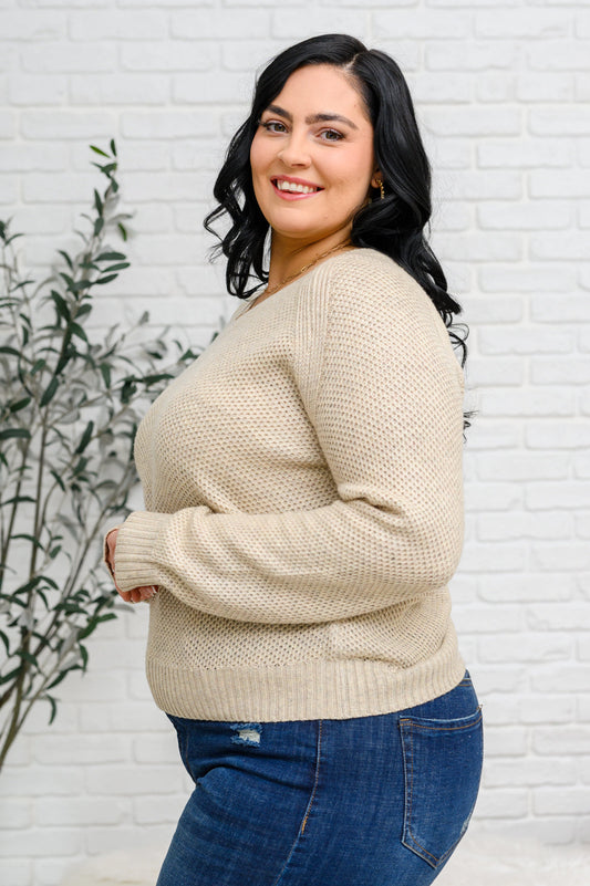 Chai Latte V-Neck Sweater in Oatmeal